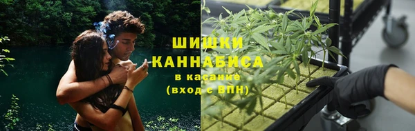 spice Балахна