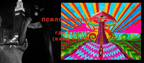 spice Балахна